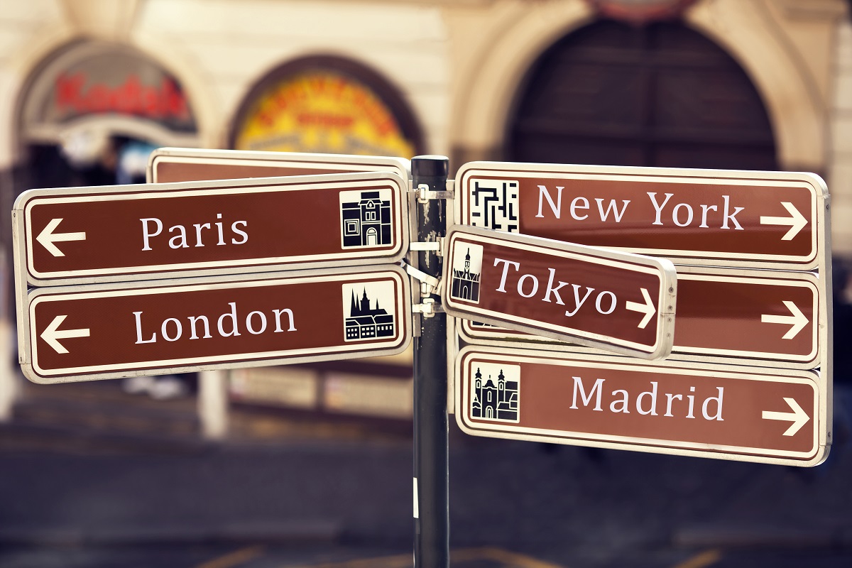 What should I Major in to Travel the World
