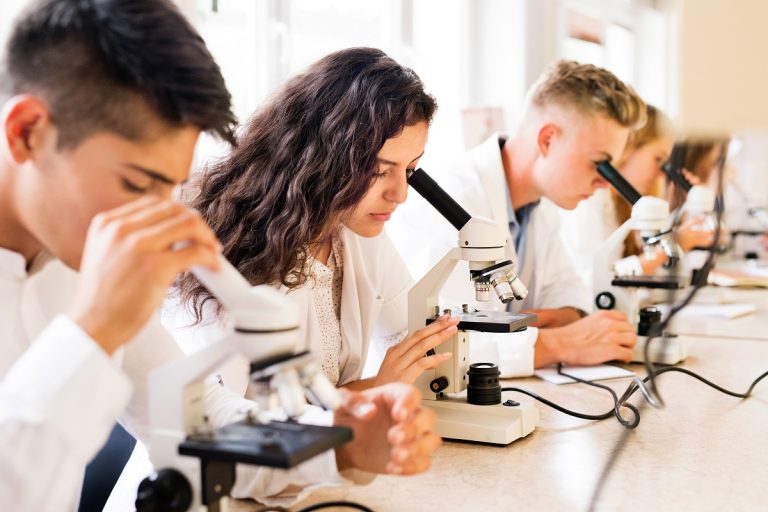 4 Easiest Science Classes to Take in College (2024 Updated)