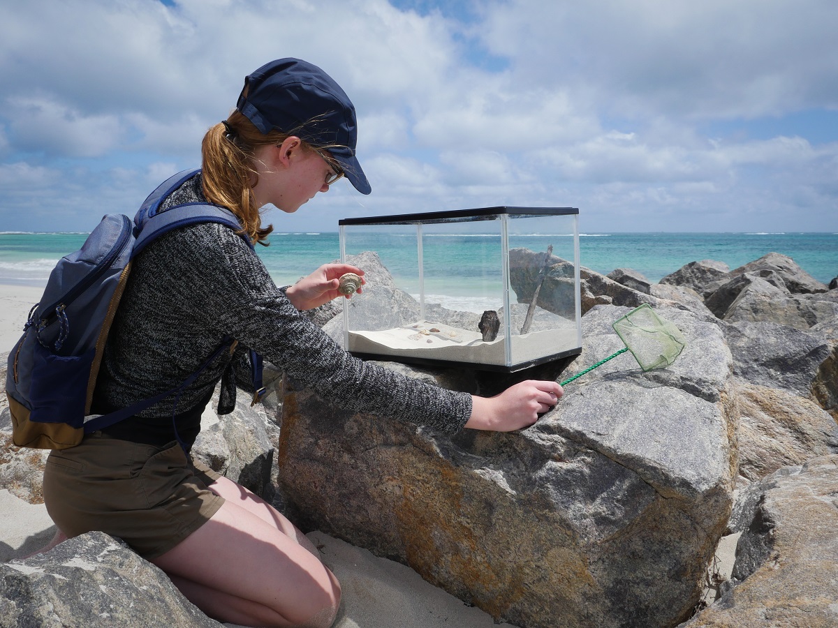 Best Marine Biology Colleges