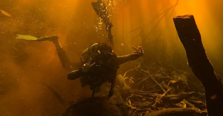 How Much Are Underwater Logs Worth? A Detailed Look At Their Value