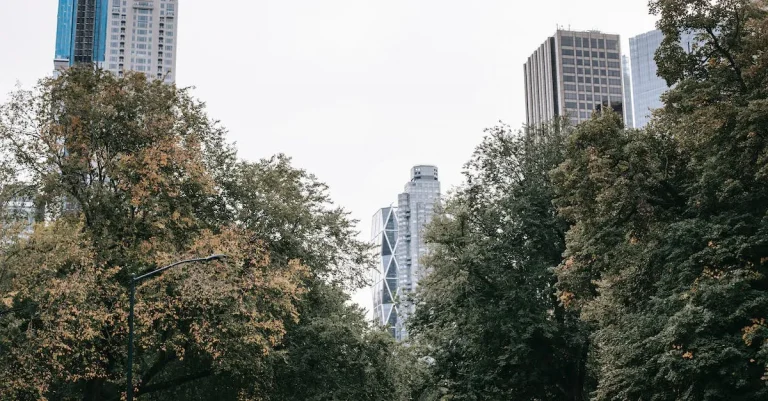 How Much Is Central Park Worth?