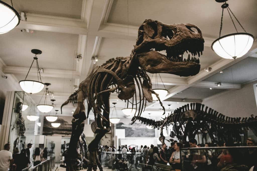 American museum