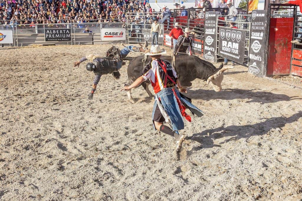 Top Bulls