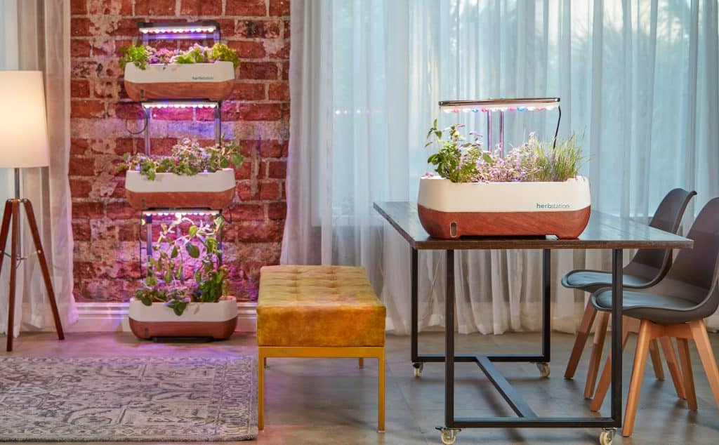 grow lights
