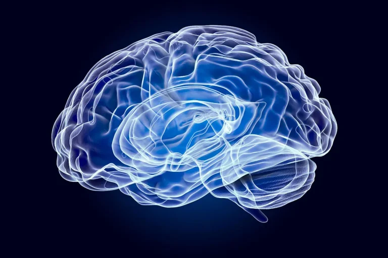 How Much is the Human Brain Worth?