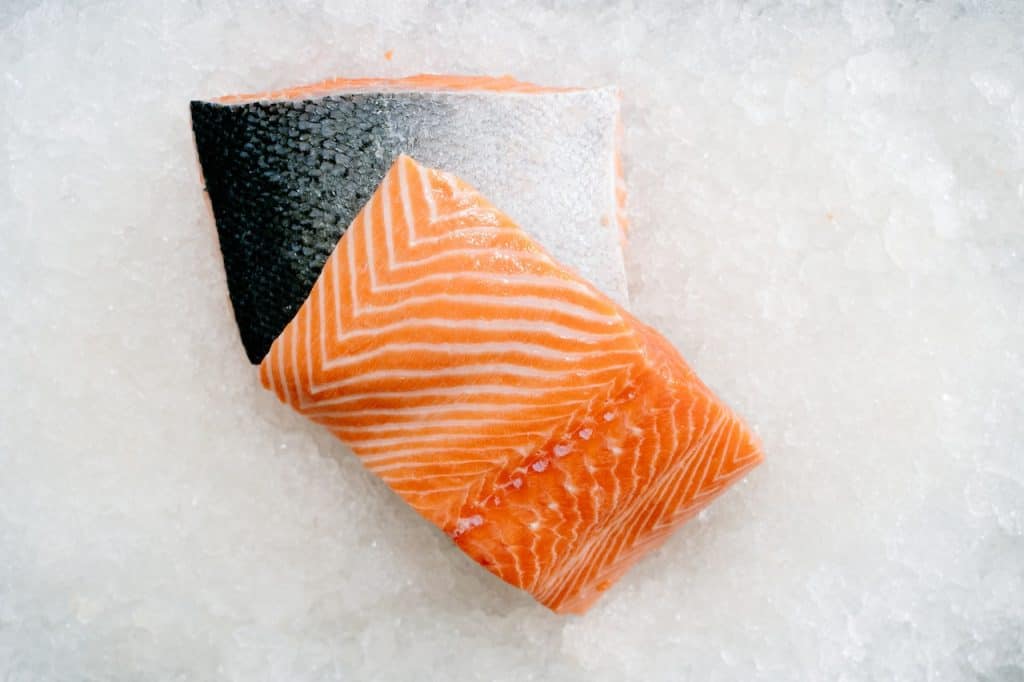 salmon