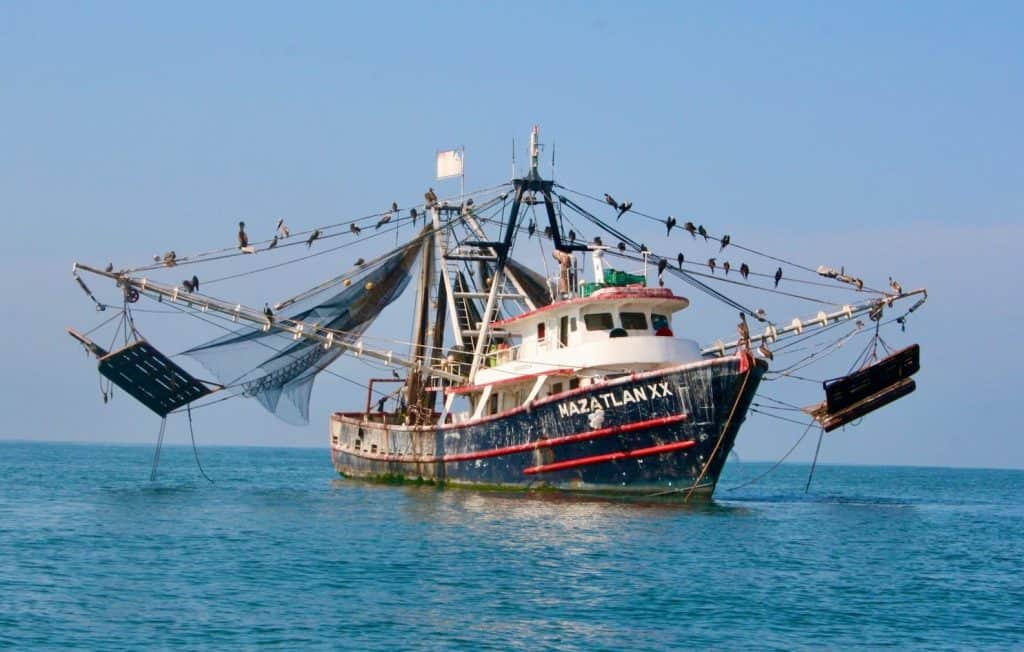 shrimping boat