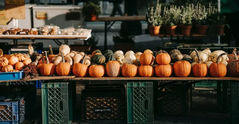 Can I Buy Pumpkins With Ebt?