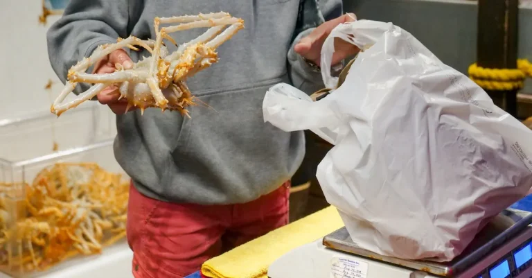 Can You Buy Seafood With Ebt?